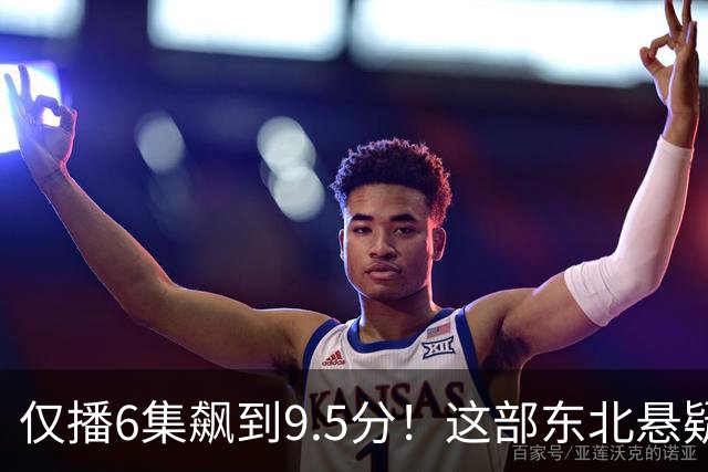 仅播6集飙到9.5分！这部东北悬疑剧凭什么封神
